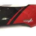 Carbonvani - Ducati Panigale V2 Carbon Fiber Headlight Fairing - RED Carbonvani - Ducati Panigale V2 Carbon Fiber Headlight Fairing - RED